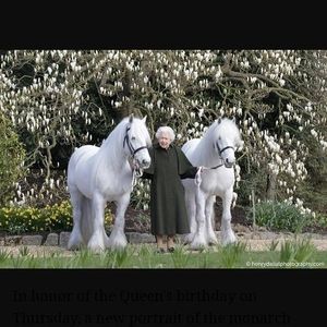 Meet your Posher, Robin